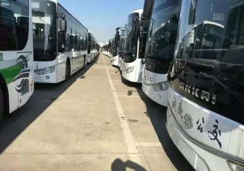 嘉兴至铜陵汽车多少